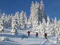 AustrianAlpineChalets_Erzberg-Alpin-Resort-5.jpg